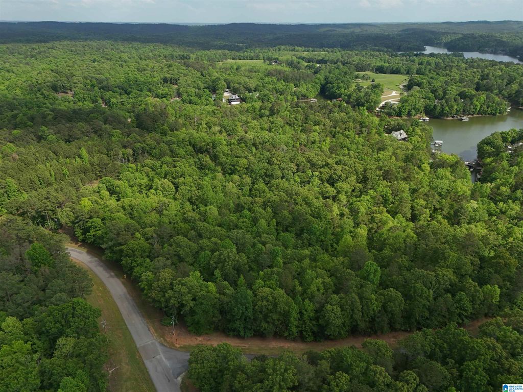 lots 125 RED CEDAR DRIVE, Wedowee, AL 36278