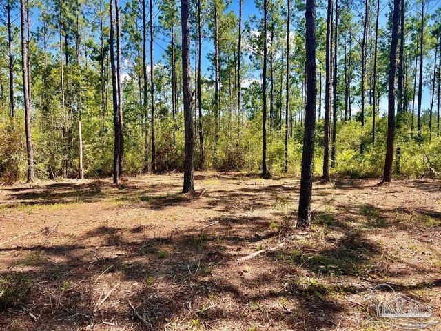 Lot 75 Naturewalk Dr, Jay, FL 32565