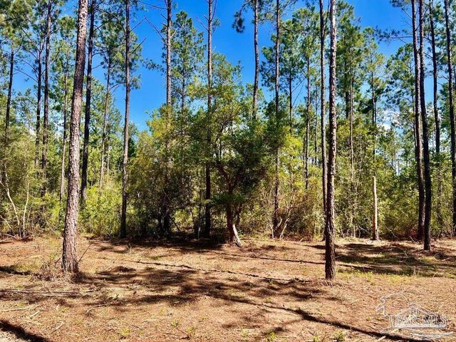 Lot 75 Naturewalk Dr, Jay, FL 32565