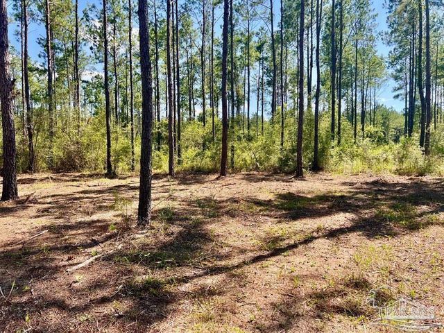 Lot 75 Naturewalk Dr, Jay, FL 32565