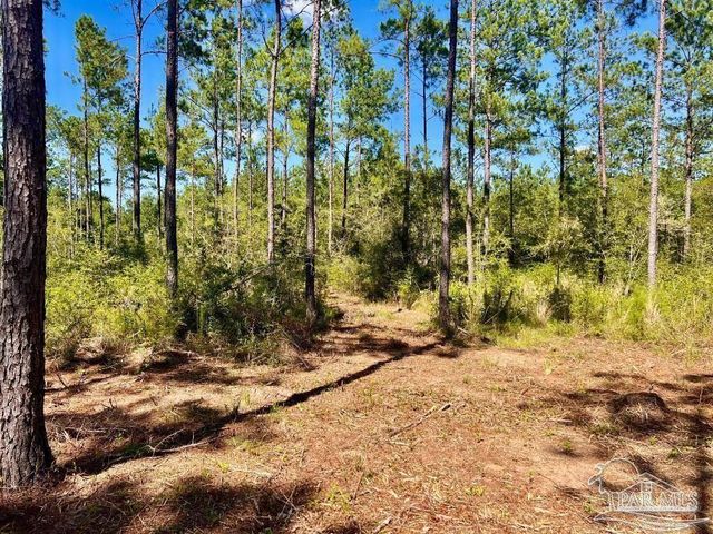 Lot 75 Naturewalk Dr, Jay, FL 32565
