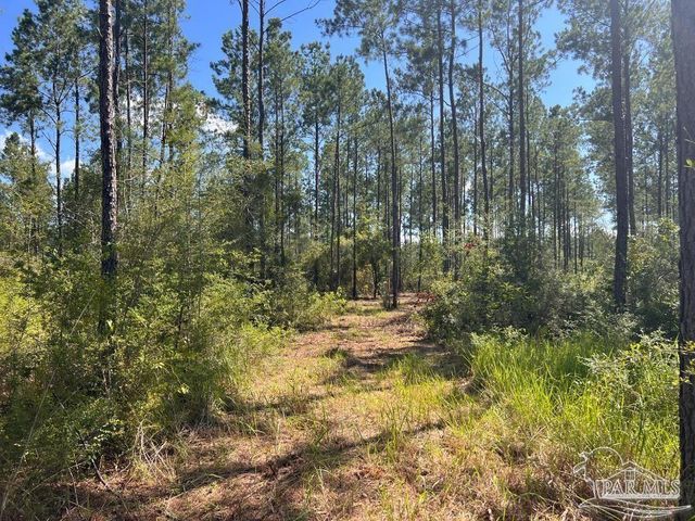 Lot 75 Naturewalk Dr, Jay, FL 32565