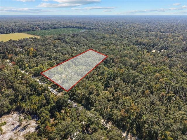 1566 NE 262ND AVENUE, Old Town, FL 32680