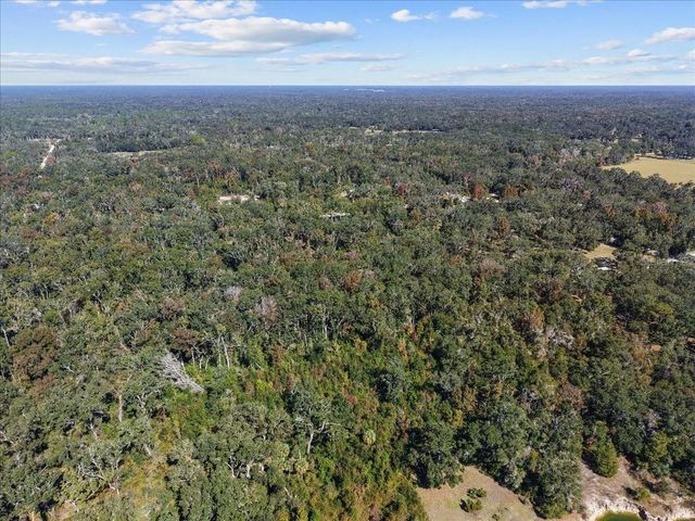 1566 NE 262ND AVENUE, Old Town, FL 32680