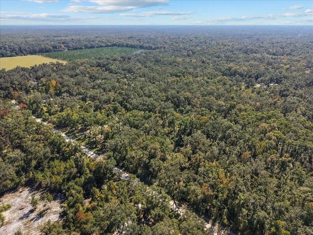 1566 NE 262ND AVENUE, Old Town, FL 32680