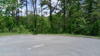 Lot 10 Antler Ridge, Dandridge, TN 37725