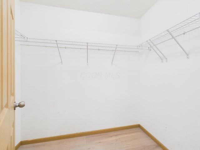 5566 Spring River Avenue, Dublin, OH 43016