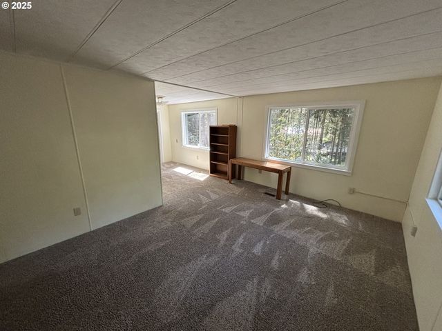 5336 BUCKSKIN BOB, Florence, OR 97439