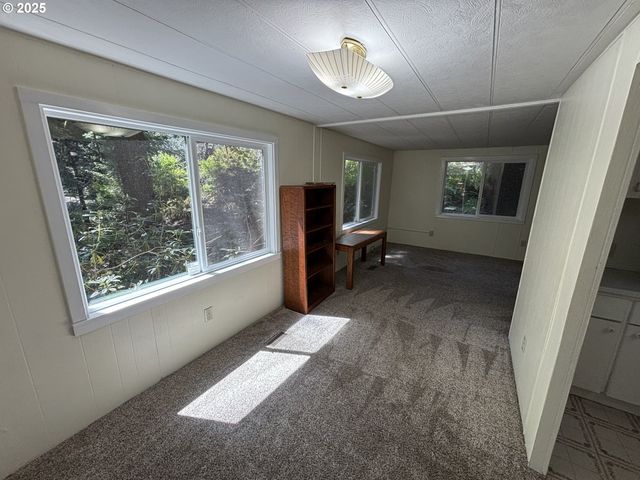 5336 BUCKSKIN BOB, Florence, OR 97439