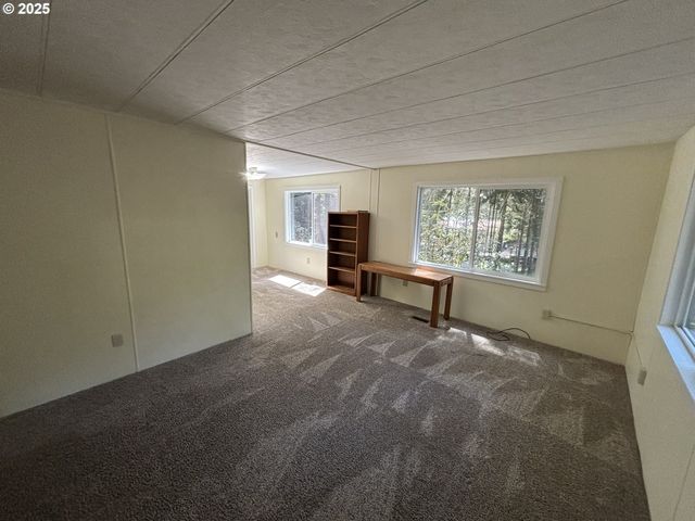 5336 BUCKSKIN BOB, Florence, OR 97439