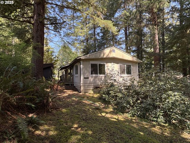 5336 BUCKSKIN BOB, Florence, OR 97439