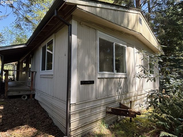 5336 BUCKSKIN BOB, Florence, OR 97439