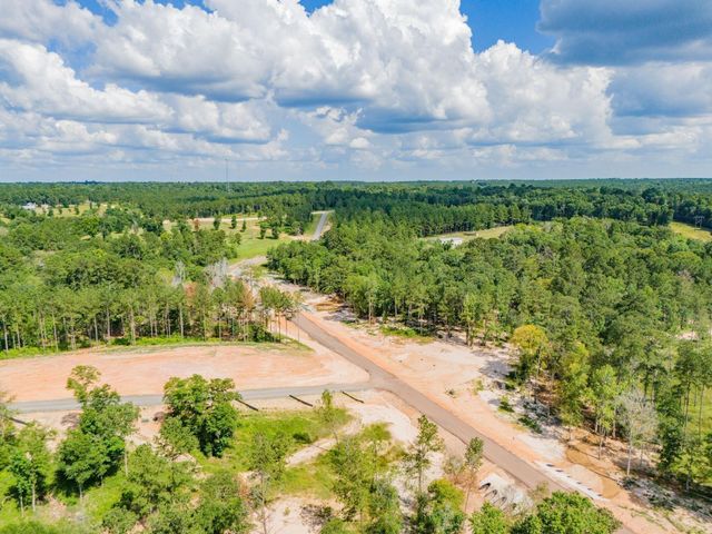 Lot 72 Western Road, Livingston, TX 77351