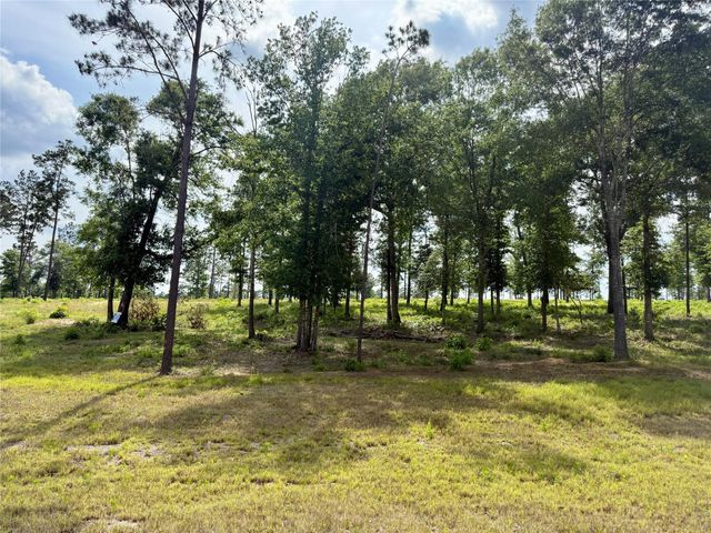 Lot 72 Western Road, Livingston, TX 77351
