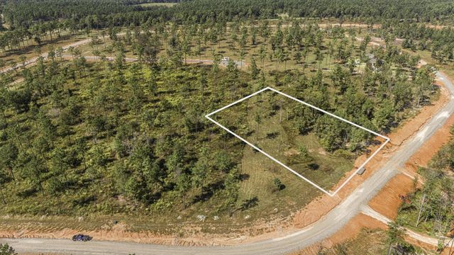 Lot 72 Western Road, Livingston, TX 77351