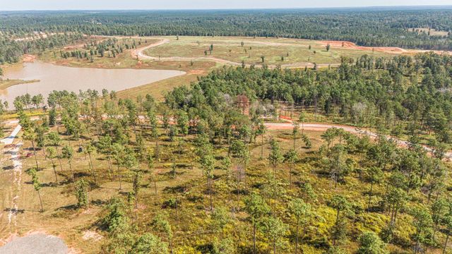 Lot 72 Western Road, Livingston, TX 77351