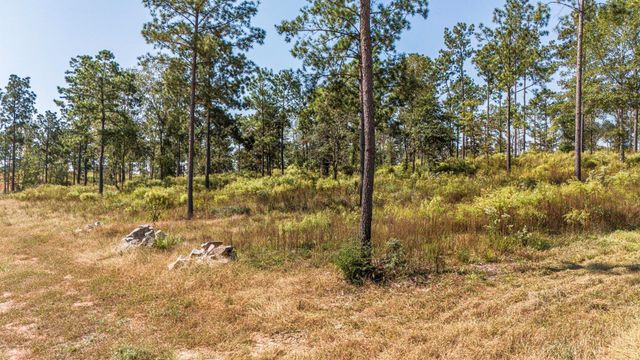 Lot 72 Western Road, Livingston, TX 77351
