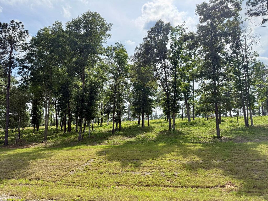 Lot 72 Western Road, Livingston, TX 77351