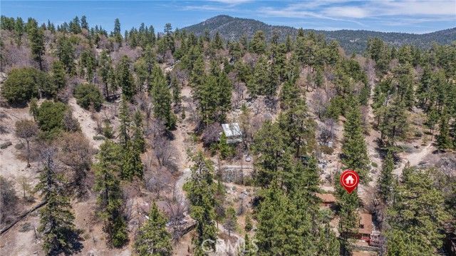 352 Big Bear Trail, Fawnskin, CA 92333