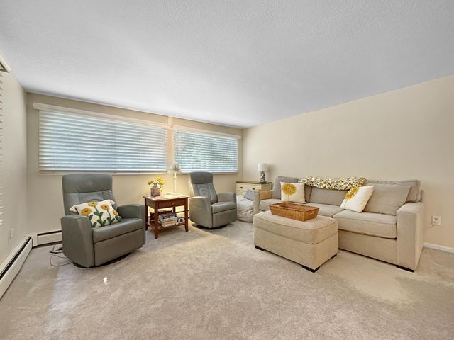 251 W Lake Street, Excelsior, MN 55331