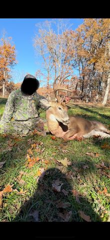 217 Victory Lane Lane, Niangua, MO 65713