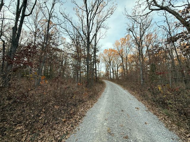 217 Victory Lane Lane, Niangua, MO 65713