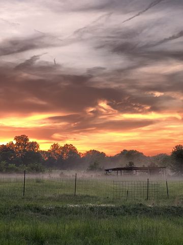 9049 Bradley Creek Rd, Lascassas, TN 37085