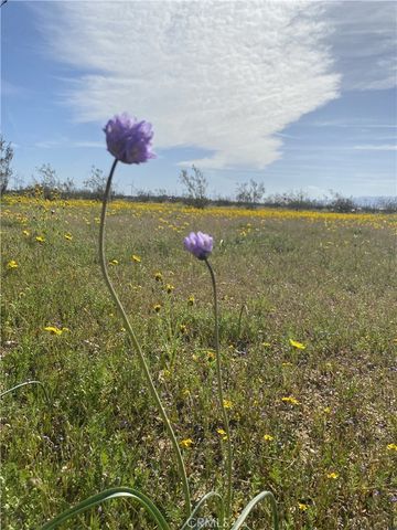 0 Vacant Land, Mojave, CA 93501