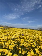 0 Vacant Land, Mojave, CA 93501