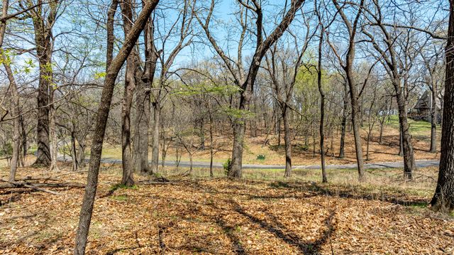 TBD Blue Grouse Lane, Afton, OK 74331