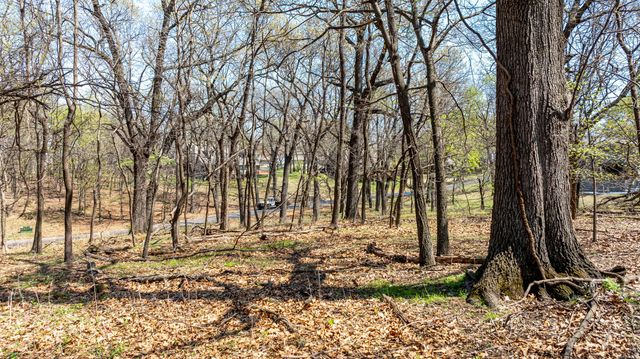 TBD Blue Grouse Lane, Afton, OK 74331