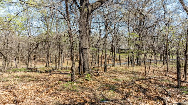 TBD Blue Grouse Lane, Afton, OK 74331