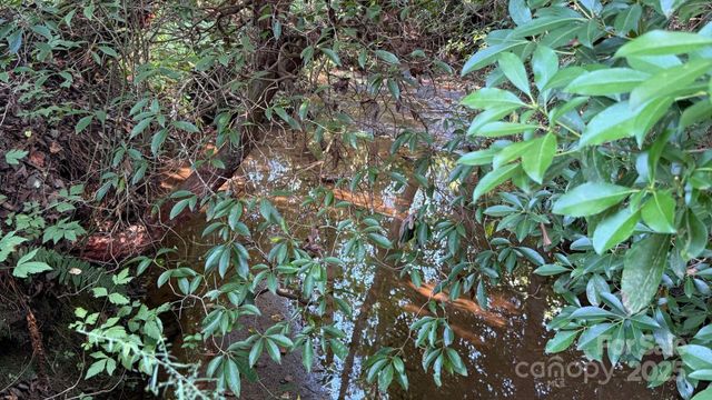 00 Rhoney Road, Connelly Springs, NC 28612
