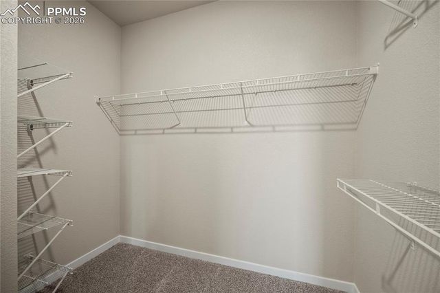 598 Old Grotto Drive, Monument, CO 80132