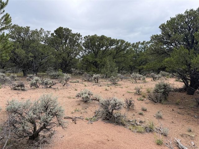 7863 Platten Road, Fort Garland, CO 81133