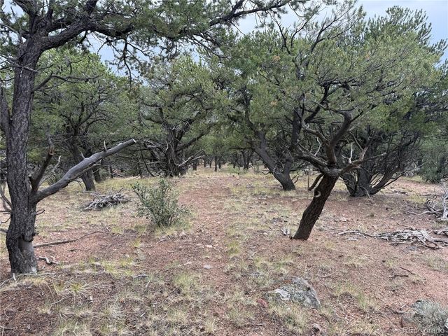 7863 Platten Road, Fort Garland, CO 81133