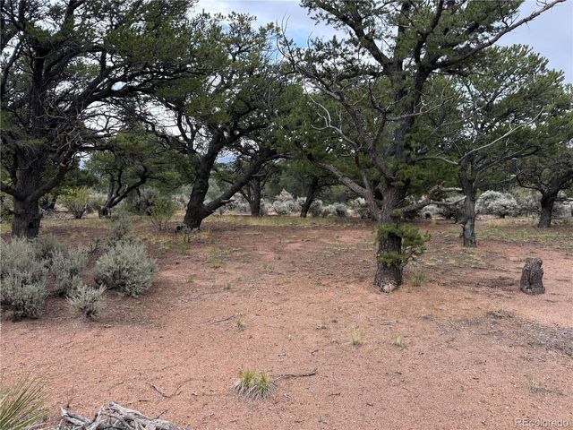 7863 Platten Road, Fort Garland, CO 81133