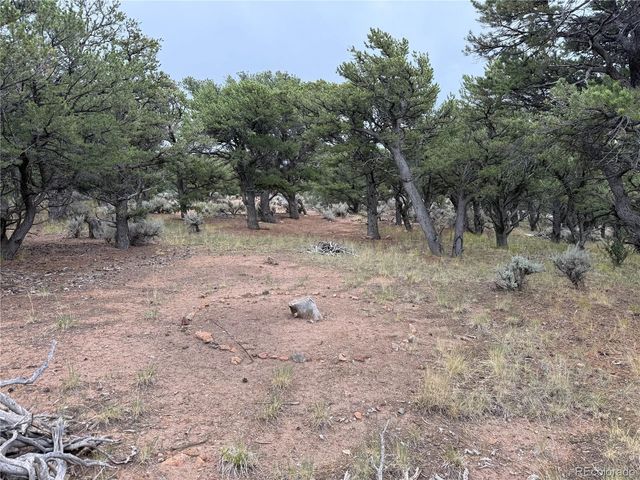 7863 Platten Road, Fort Garland, CO 81133