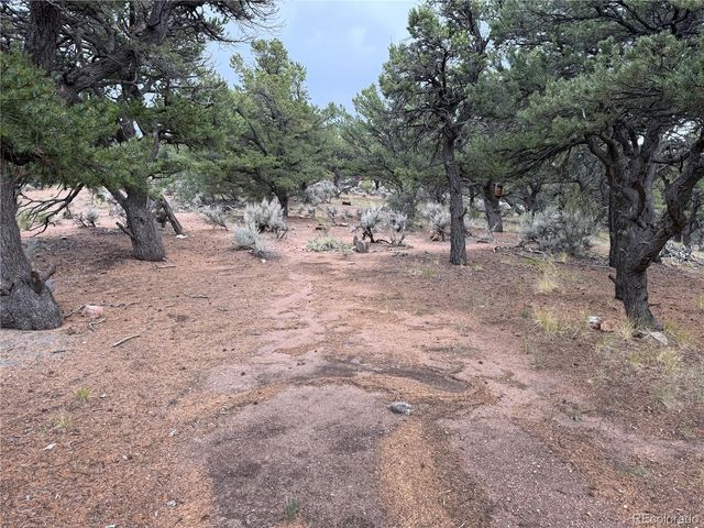 7863 Platten Road, Fort Garland, CO 81133