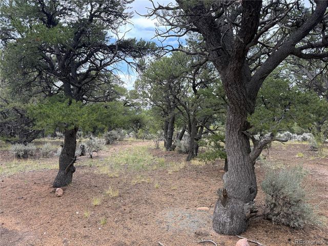 7863 Platten Road, Fort Garland, CO 81133