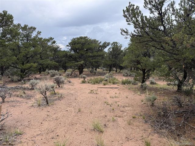 7863 Platten Road, Fort Garland, CO 81133