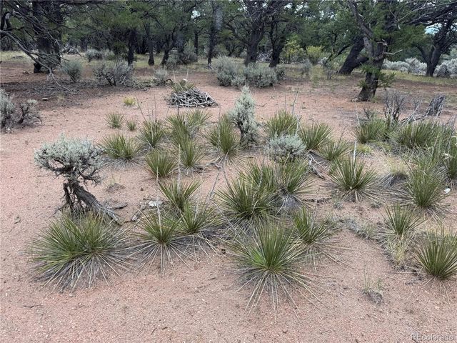 7863 Platten Road, Fort Garland, CO 81133