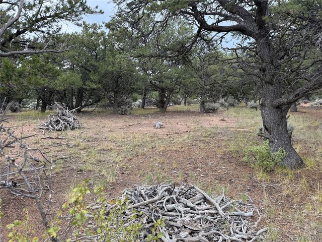 7863 Platten Road, Fort Garland, CO 81133