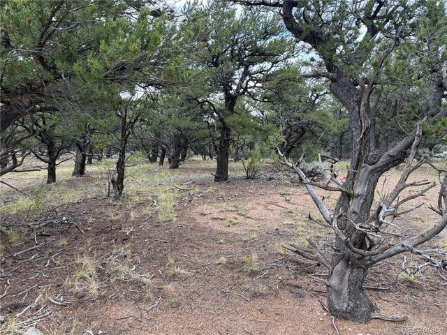 7863 Platten Road, Fort Garland, CO 81133