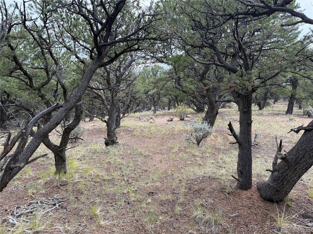 7863 Platten Road, Fort Garland, CO 81133