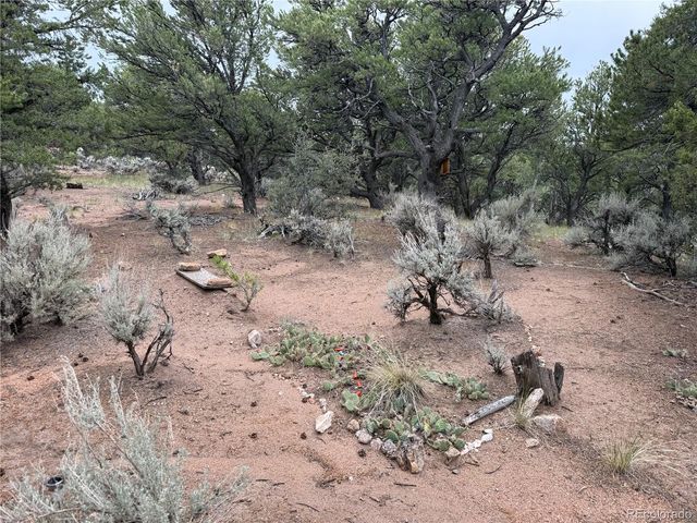 7863 Platten Road, Fort Garland, CO 81133