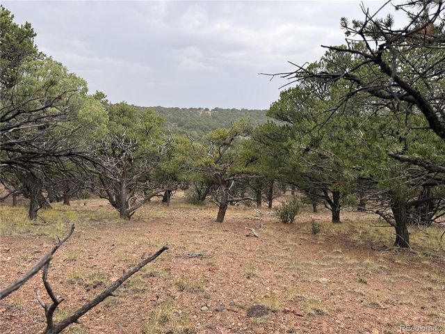 7863 Platten Road, Fort Garland, CO 81133