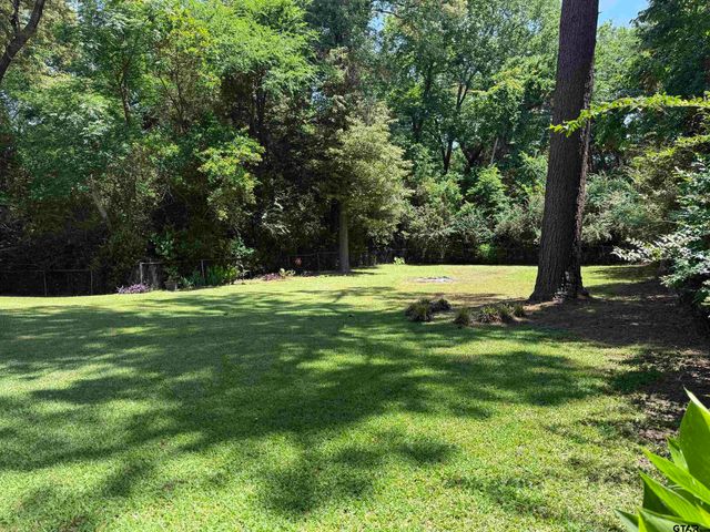 104 Meadowlark Circle, Frankston, TX 75763