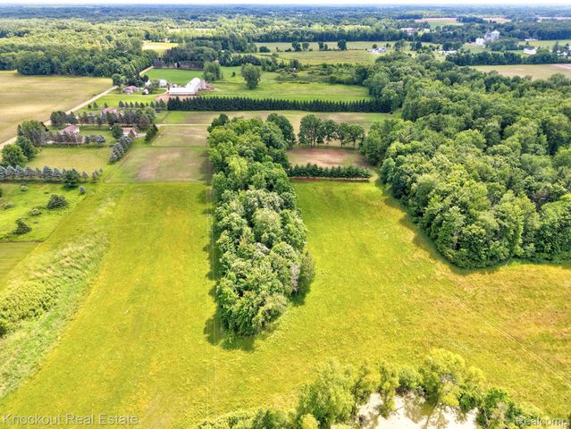 4500 Birch Run Road, Millington Township, MI 48746