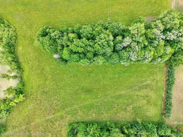 4500 Birch Run Road, Millington Township, MI 48746